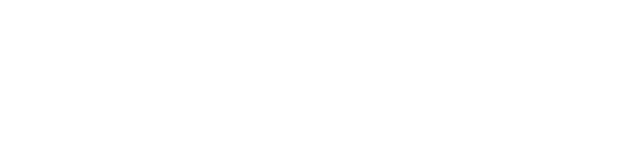 The Wisdom Plus